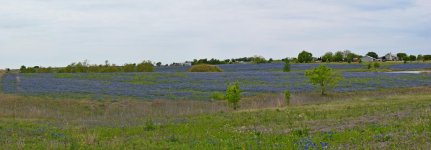 350_0017_21_LSh_sm.jpg