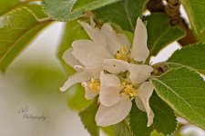 04-18-21-CR_D500528-ON1.jpg