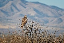 04-19-21-CR_D500534-ON1.jpg