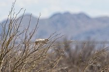 04-19-21-CR_D500537-ON1.jpg