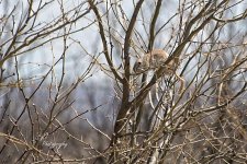 04-19-21-CR_D500542-ON1.jpg