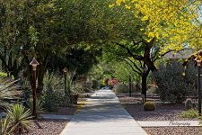 04-20-21-CR_D500559-ON1.jpg