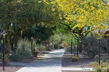 04-20-21-CR_D500560-ON1.jpg