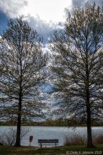 _10K3544 low res.jpg