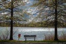 _10K3548 low res.jpg