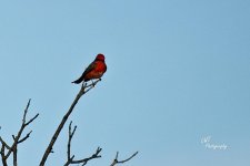 04-22-21-CR_D500581-ON1.jpg