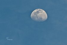 04-22-21-CR_D500587-ON1.jpg
