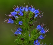 _ROY9209_00001.jpg