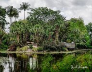 garden-1.jpg