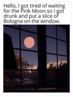 Moon.jpg