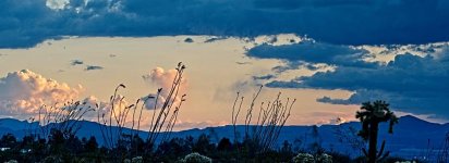04-27-21-CR_D500667-ON1-RD.jpg
