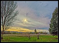 710_2748-Edit.jpg