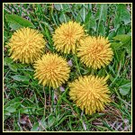 710_2741-Edit.jpg