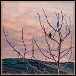 710_2820-Edit.jpg