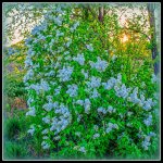 710_2776-Edit.jpg