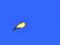 _ROY0514.jpg