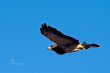 04-29-21-CR_D500690-ON1.jpg