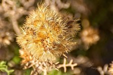 04-30-21-CR_D500700-ON1.jpg