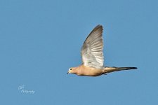 05-03-21-CR_D500743-ON1.jpg