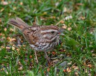 DSC_2998.jpg