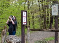 Photog Wayanda 2.jpg