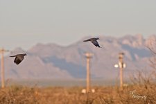 05-04-21-CR_D500776-ON1.jpg