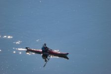 DSC_5479 kayak A.jpg