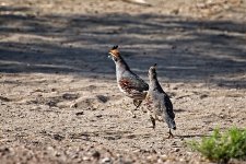 05-08-21-CR_D500797-ON1.jpg