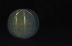 Coin Multi-flash 2-.jpg
