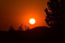 _ROY3120_01.jpg
