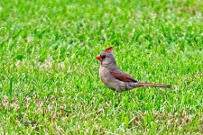 05-16-21-CR_D500828-ON1.jpg