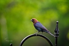 05-16-21-CR_D500837-ON1.jpg