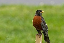 05-17-21-CR_D500847-ON1.jpg
