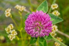 05-18-21-CR_7504504-ON1.jpg
