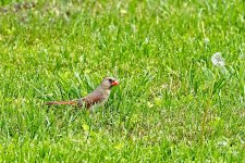 05-18-21-CR_D500848-ON1.jpg