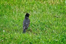 05-18-21-CR_D500849-ON1.jpg