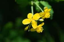 DSC_4920.jpg