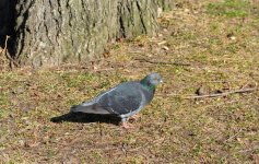 DSC_3804.jpg
