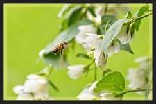 05-19-21-CR_D500858-ON1.jpg