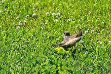 05-20-21-CR_D500869-ON1.jpg