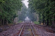 05-28-21-CR_D500912-ON1.jpg