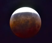 _ROY4721_02.jpg