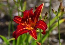 _ROY4783_01.jpg