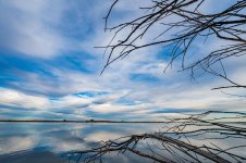 DSC_2714.jpg