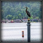 DSC_1134-Edit.jpg