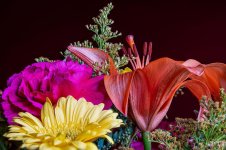 flowers focus stacked.jpg