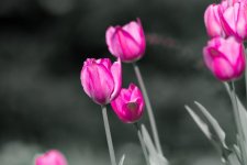 DSC_0649.jpg