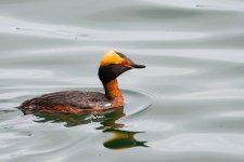 DSC_0360.jpg