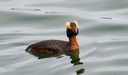 DSC_0361.jpg