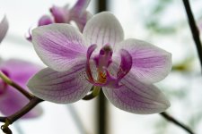 DSC_2759.jpg